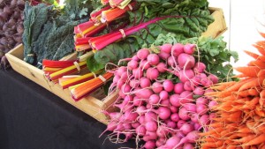 Agriculture Factoring Agriculture Factoring