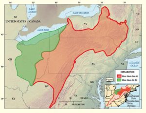 Utica Shale Oil and Gas Financing