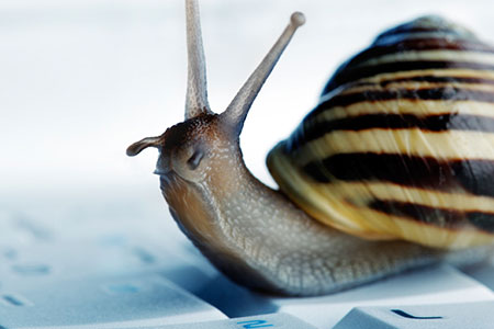 Snail Crawling on a Keyboard
