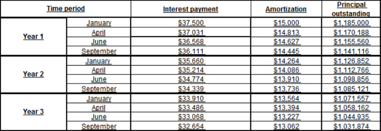 Interest and principal payments